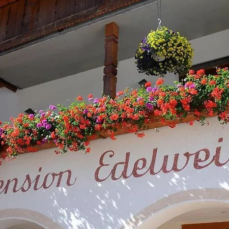 Edelweiss 2*